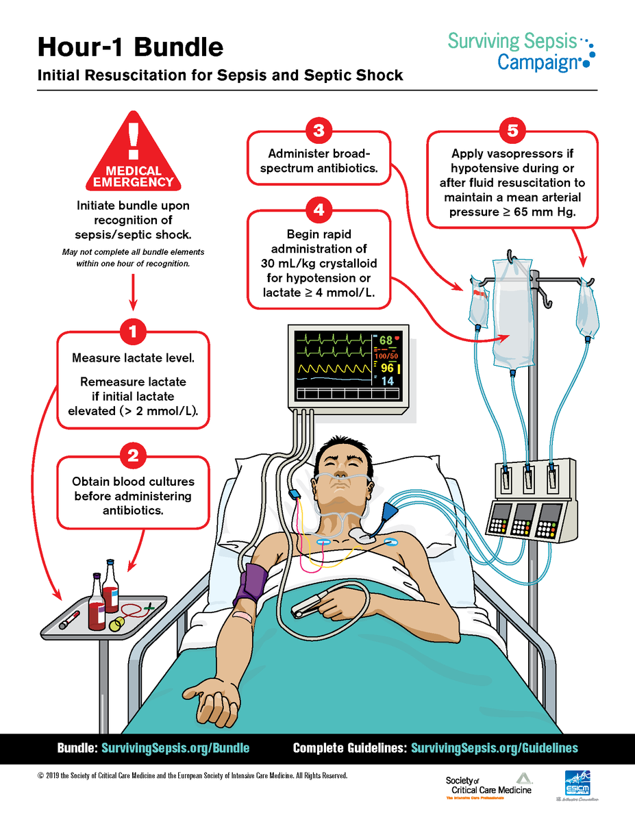 SCCM's tweet photo. Today is #WorldSepsisDay.

Sepsis is a leading cause of death worldwide. Help reduce mortality by implementing the #SurvivingSepsis Campaign's Hour-1 Bundle. Guidance here: https://t.co/9qX6rOtZIt

#SCCMSoMe @WorldSepsisDay https://t.co/SrxAUpGEnQ