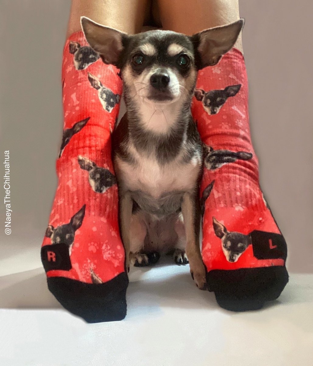 petpartyco's tweet photo. @rustylinda with her PetParty custom socks! 😍 https://t.co/xTDvLDrOxW