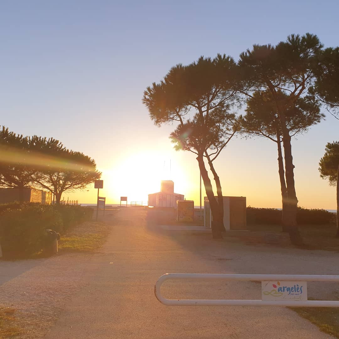 RaGe_Freddy's tweet photo. C est l'heure du pti dej #Playa https://t.co/hpZMmkX4B9