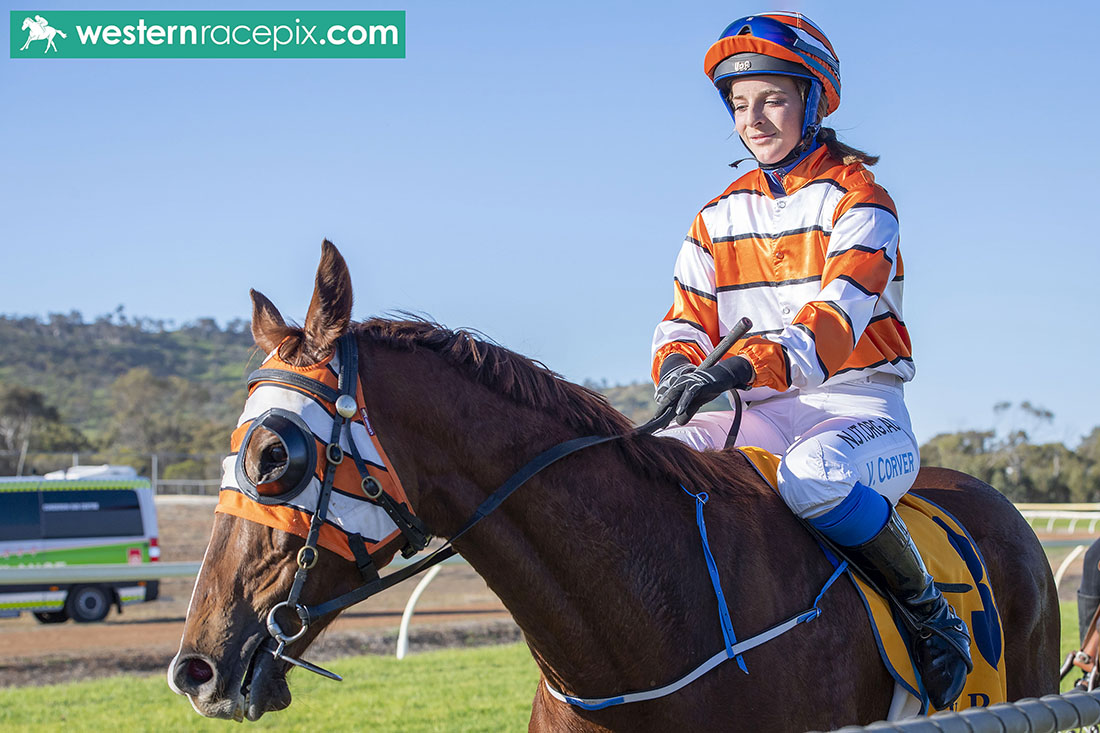 FROSTY HEART - York Sun 13th September #WesternRacepix #WAracing