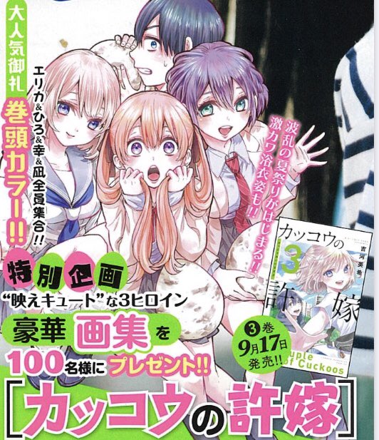 カッコウの許嫁』3巻発売まであと4日> 水曜日発売のマガジン42号表紙を