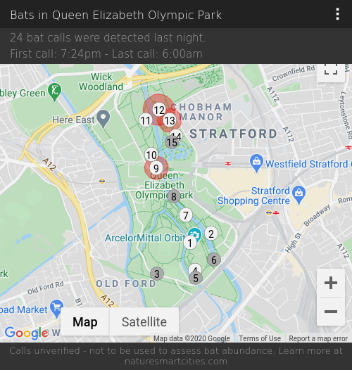 24 bat calls were detected last night, 12-09-2020.