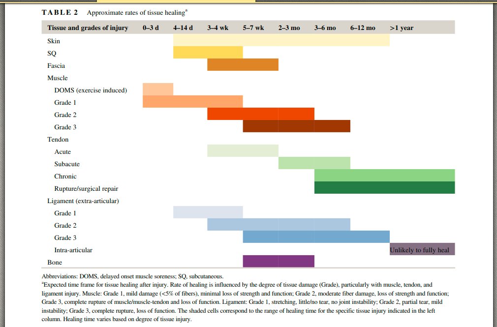Fundamental principles of rehabilitation and musculoskeletal tissue healing

👀👀👇👀

onlinelibrary.wiley.com/doi/full/10.11…