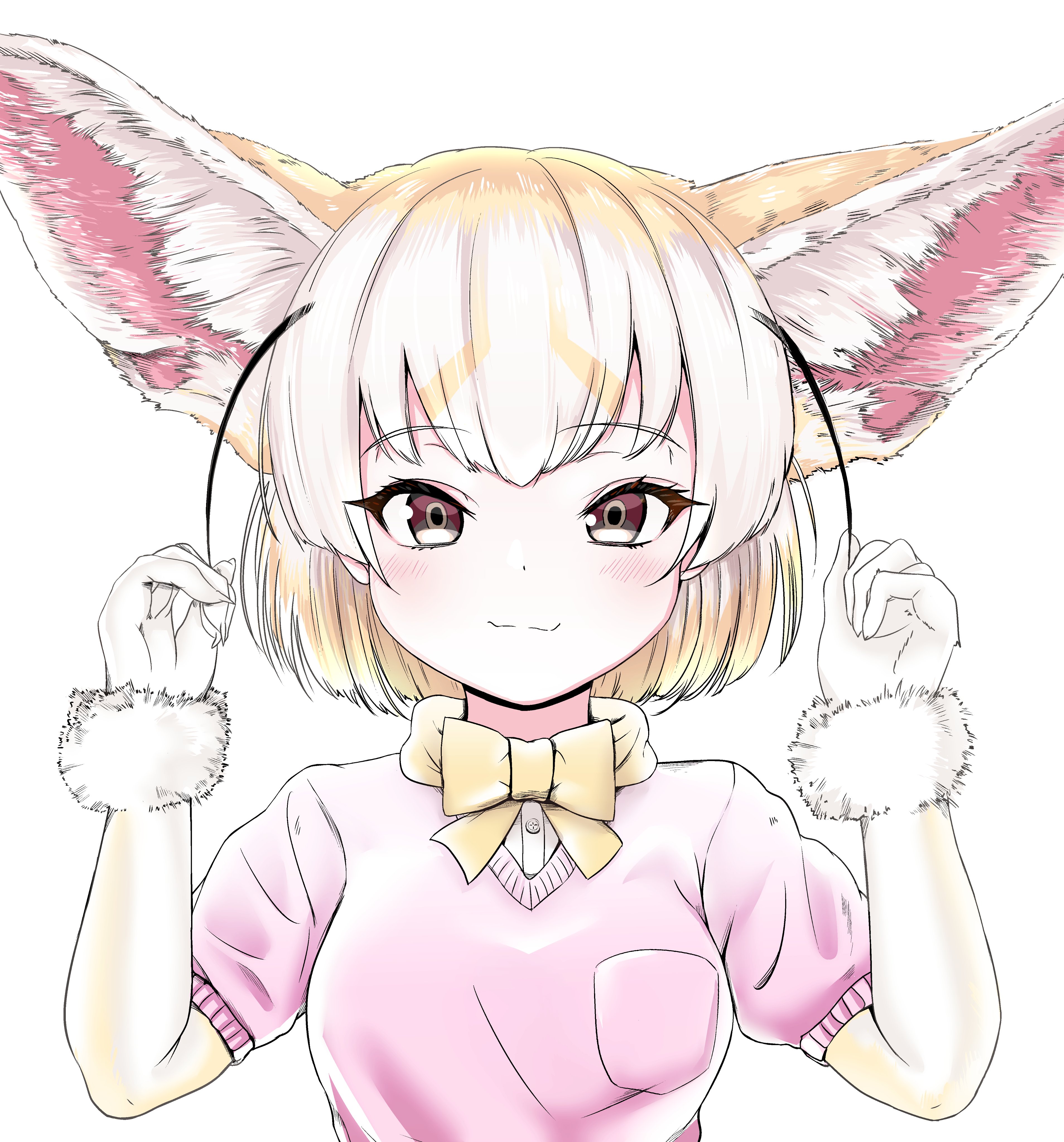 Kemono friends Fennec аниме