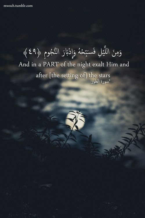 #سلطان_دوجہاں               @TeamAntiMafia00