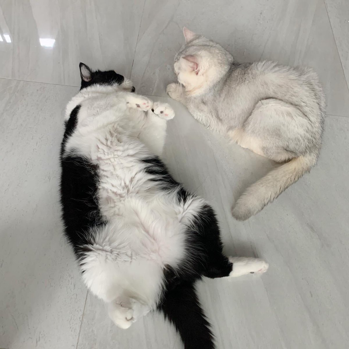 ziieeiiz's tweet photo. ผมเปลี่ยนใจจากพี่บิมแล้วฮาฟฟฟ  😂😂

@Bonusiie https://t.co/x6rEC0boQF