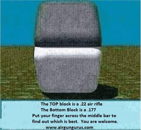 airgungurus's tweet image. 