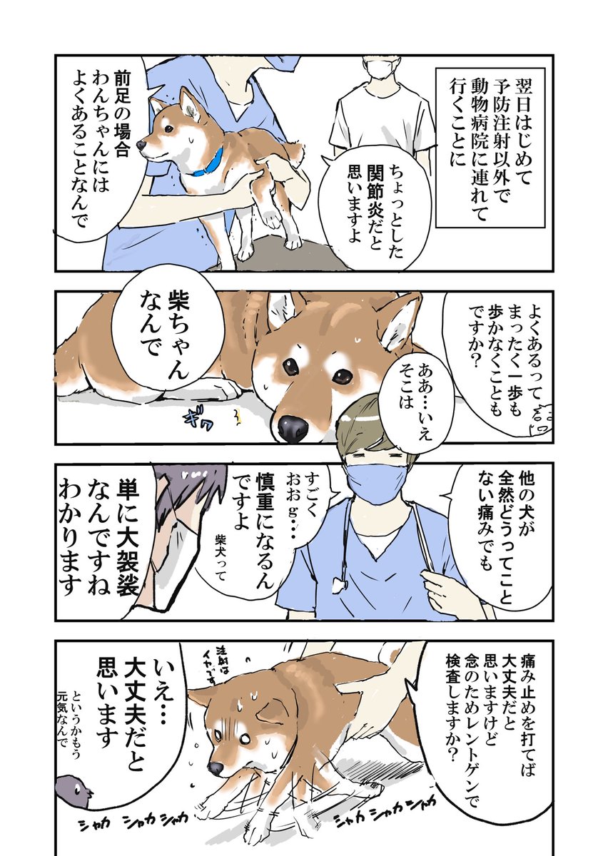 犬が突然歩けなくなったけど
翌日には全く大したことなかった件 