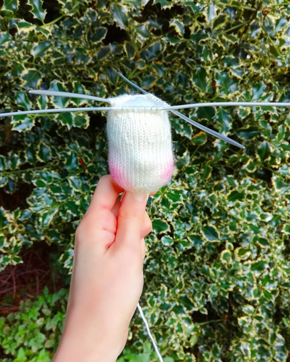 ZaraHart3's tweet image. A knitting pattern for a doll coming soon 😊
#knitting #knittinpattern #patternwriter #writtingpattern #loveknitting #knittingisfun #kittingislove #mydesign