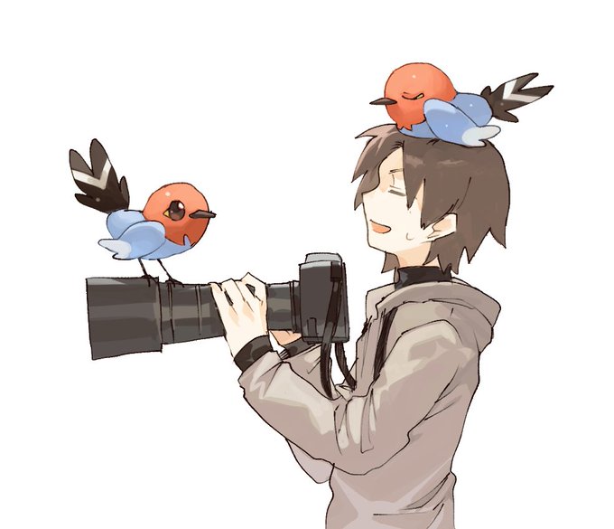 「鳥 ポケモン×ポケモン」のTwitter画像/イラスト(人気順)