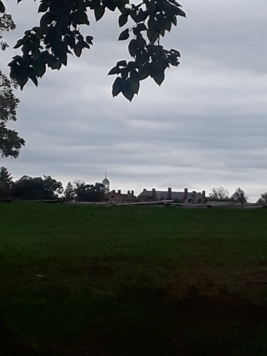 ArchieSTARS1's tweet image. 