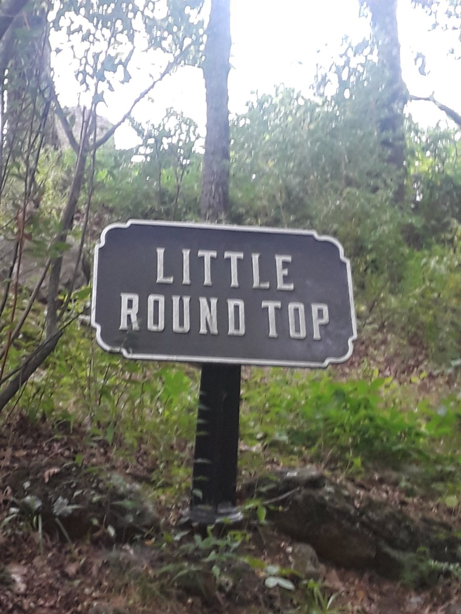 ArchieSTARS1's tweet image. 