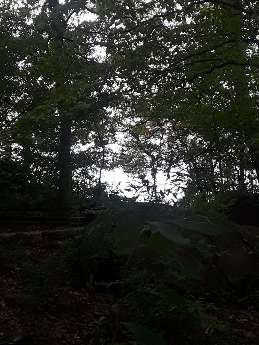 ArchieSTARS1's tweet image. 