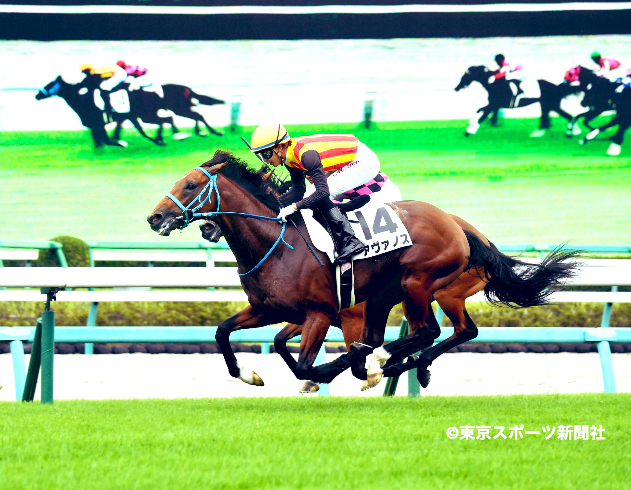 東スポ写真部 Pa Twitter 競馬 2020年9月13日 中山競馬場 5r メイクデビュー中山 新馬戦 芝1600メートル 1着 アヴァノス ダイワメジャー エセンテペ 奥平雅士厩舎 丸山元気騎手 Jra 東スポ Tokyosports 競馬 東スポ写真部 Pa Twitter 競馬 2020年9月13日 中山競馬場 5r メイクデビュー中山 新馬戦 芝1600メートル 1着 アヴァノス ダイワメジャー エセンテペ 奥平雅士厩舎 丸山元気騎手 Jra 東スポ Tokyosports 競馬