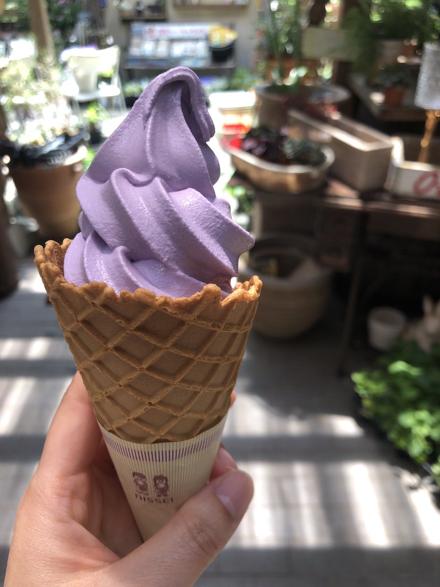 Yui ラベンダー摘み ラベンダーソフトクリーム パスタランチ 蒜山ハーブガーデン ハービル 高速降りてすぐなので米子からでも行きやすいです ぜひ