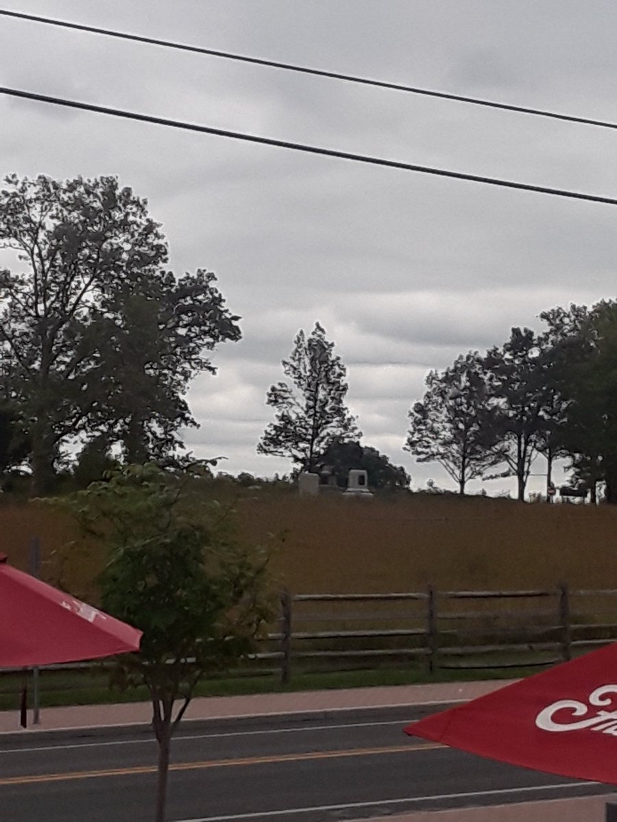 ArchieSTARS1's tweet image. 