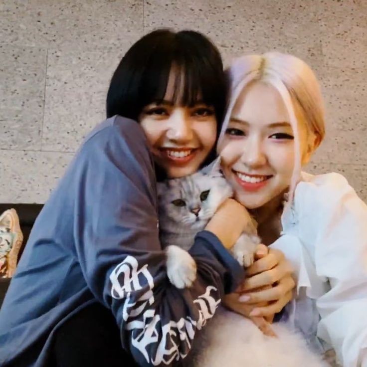 A special day for Chaelisa + vlive with Baby Louis one of the luckiest cat alive.  #Chaelisa  #Lisa    #리사    #Rosé    #로제  