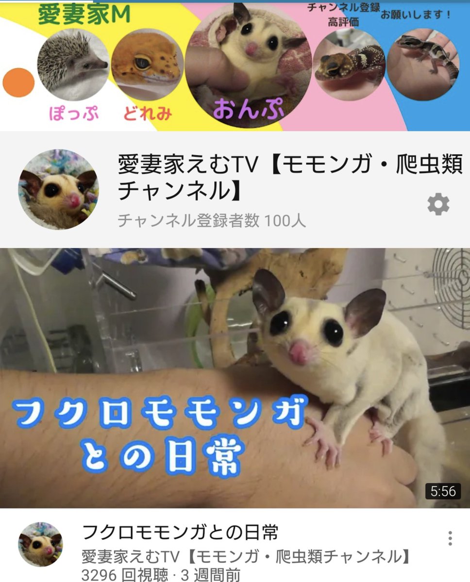 愛妻家えむ Aisaikam Twitter