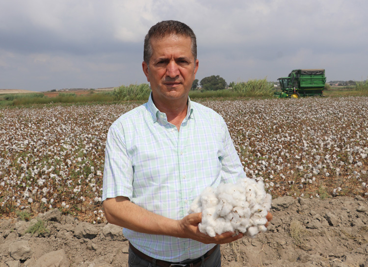 Pamukta hasat başladı adanahaber.com/haberdetay.asp…