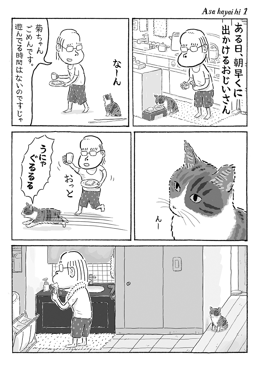 2ページ猫漫画「朝早い日」 #猫の菊ちゃん 