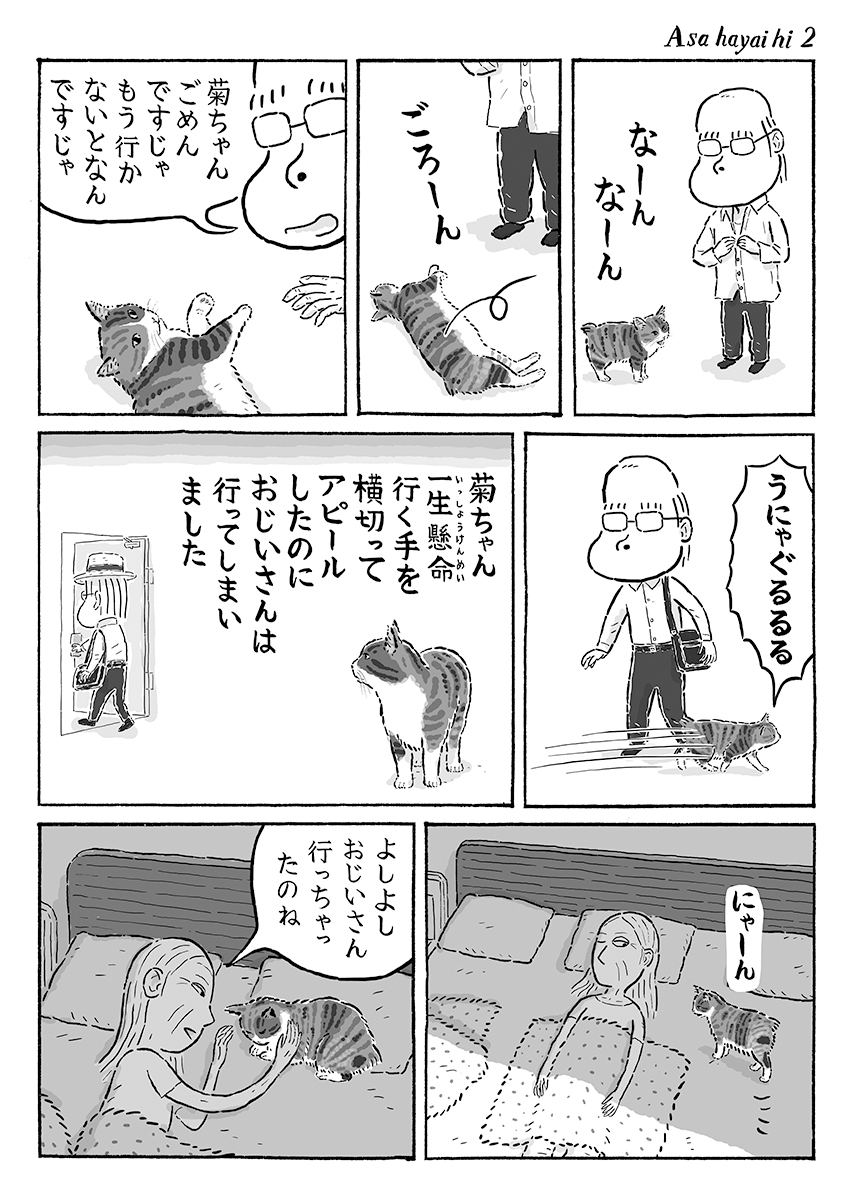 2ページ猫漫画「朝早い日」 #猫の菊ちゃん 