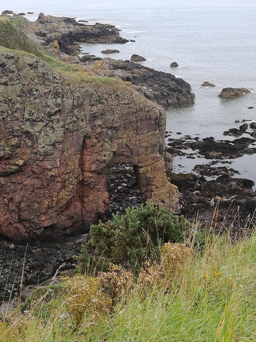 Went to visit #ElephantRock in Montrose, Scotland a few weeks back. Hopefully you can see why it's called what it is called 🙂

#PeddypopsAdventures #Scotland #ScottishLandscapes