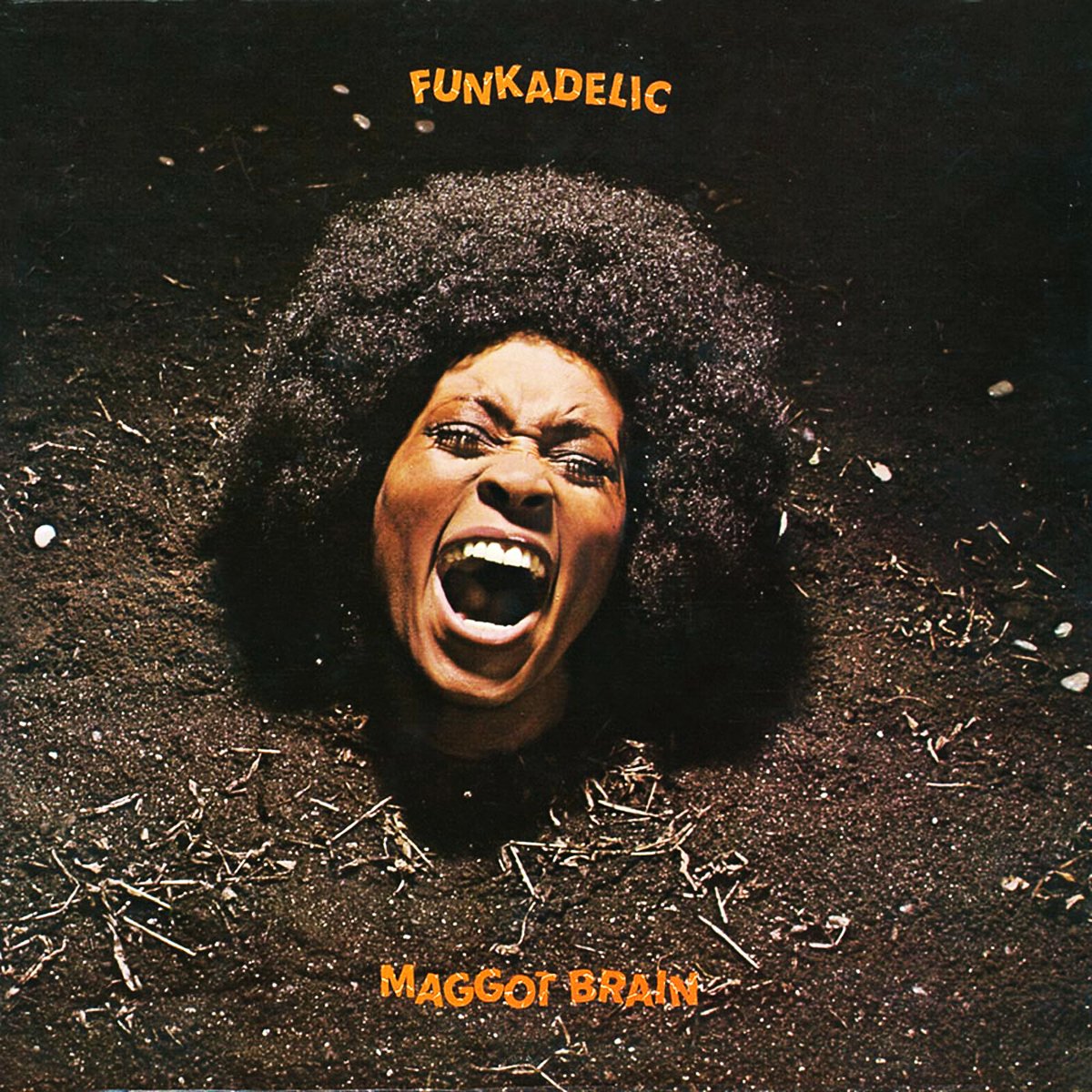 The Art of Album Covers .Model Barbara Cheeseborough famously appeared on the cover of the first issue of Essence Magazine in 1970, a magazine written for African-American women..She also appeared on the cover of Funkadelic's 1971 release Maggot Brain.