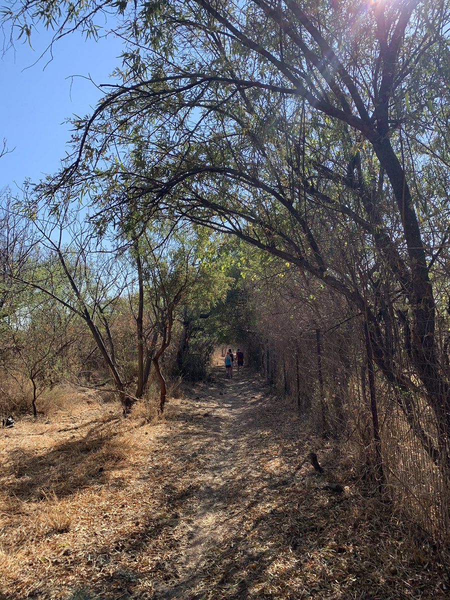 LadySayFuckALot's tweet photo. Today we hiked #Buffelsdrift. Itβs a conservancy so there are animals and they have a breeding pair of Kingfishers. Itβs north of Pretoria so was hot as hell about half way through. They offer a few hiking trails incl a 21km and a lot of MTB trails up to 85km https://t.co/F5Ioe7SoFe