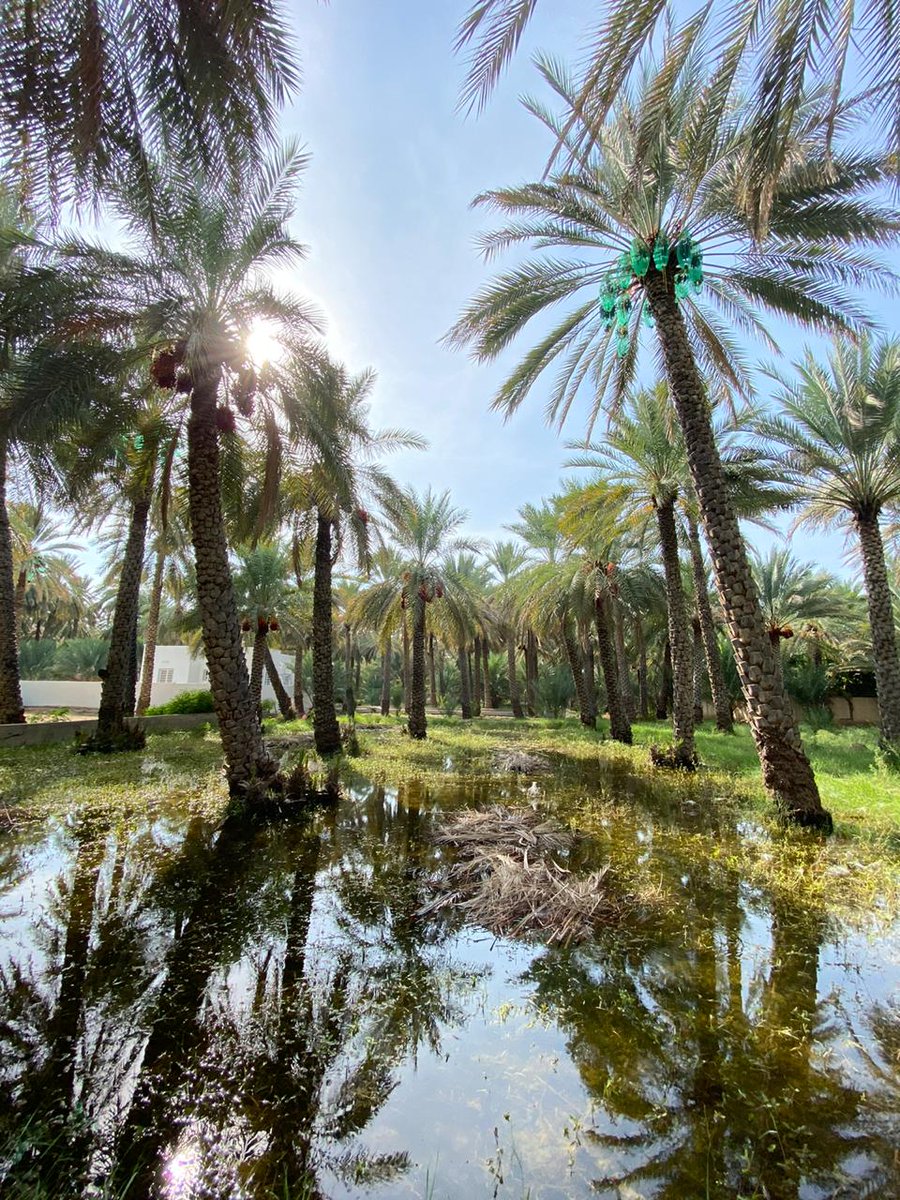 Alfadhel96's tweet photo. #الحمراء https://t.co/KRl7OPcUMZ
