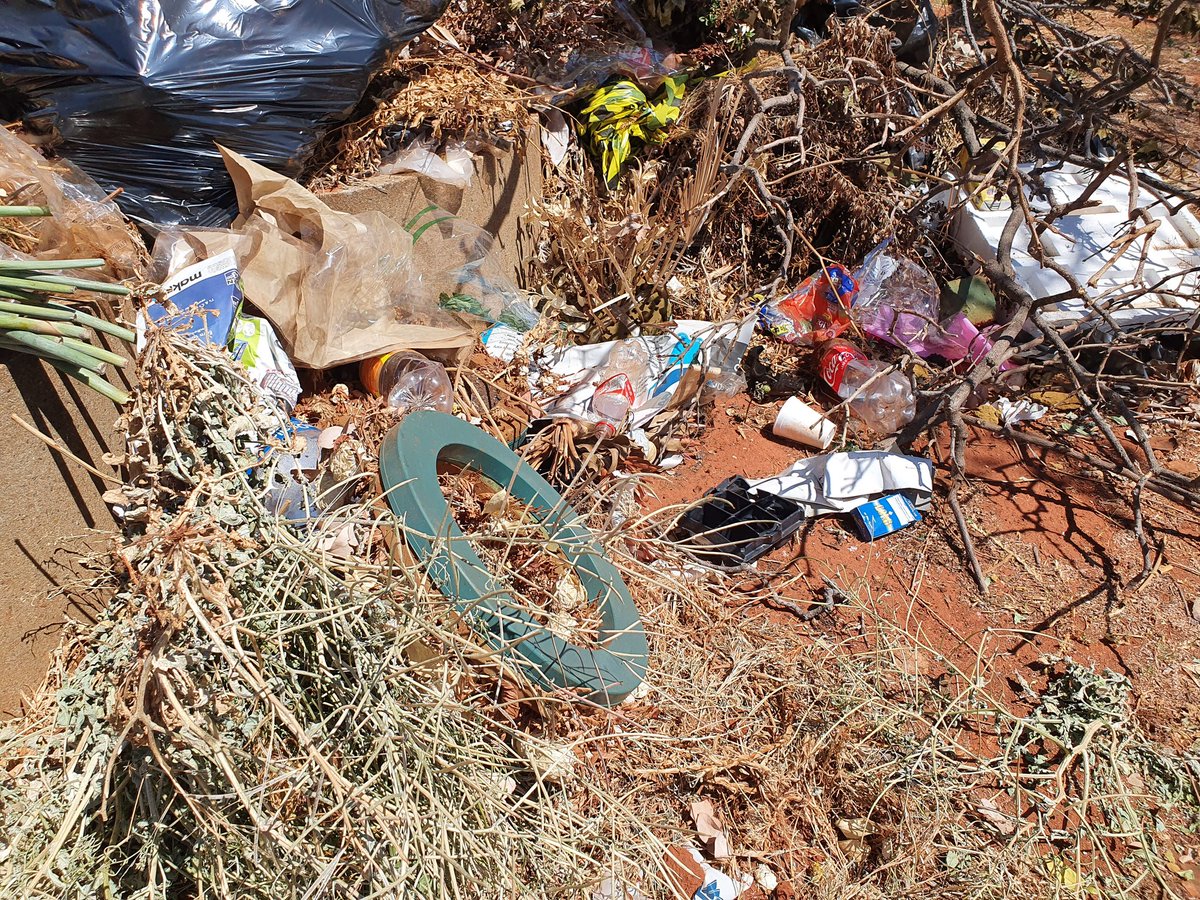 ChangeAgentSA's tweet image. I'm horrified at the state of Westpark Cemetery. This isn't the first or 2nd or third or fourth time, but really the state of upkeep is appalling!!! @JoburgParksZoo @CityofJoburgZA you really need to send in teams. And no it's not because there have been many funerals &amp;amp; burials