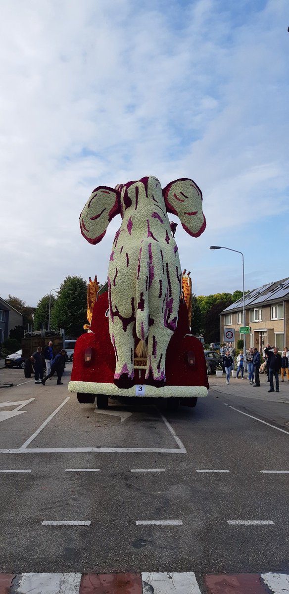 corsokompas's tweet photo. Het perfecte weer voor een Corso zondag.. @BC_Valkenswaard , nog even genieten van 2019.... https://t.co/v3agcXnkpv