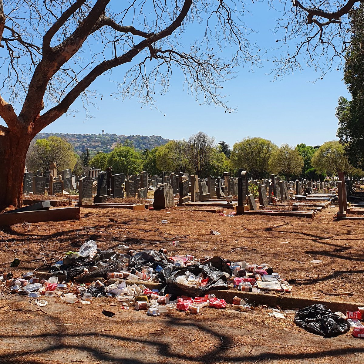 ChangeAgentSA's tweet image. I'm horrified at the state of Westpark Cemetery. This isn't the first or 2nd or third or fourth time, but really the state of upkeep is appalling!!! @JoburgParksZoo @CityofJoburgZA you really need to send in teams. And no it's not because there have been many funerals &amp;amp; burials