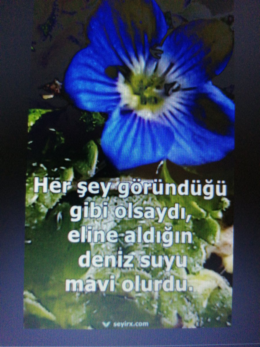 Mimar88584702's tweet photo. https://t.co/p4O22e9o1J