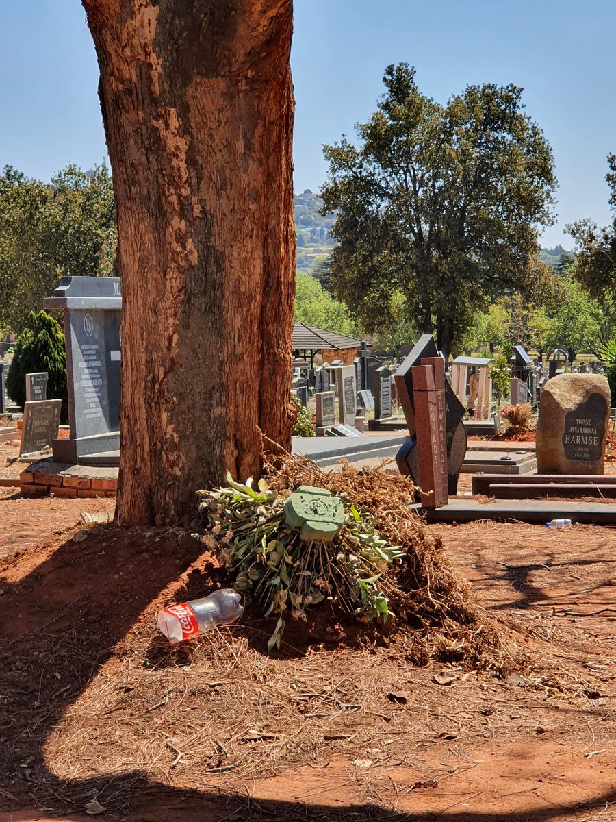 ChangeAgentSA's tweet image. I'm horrified at the state of Westpark Cemetery. This isn't the first or 2nd or third or fourth time, but really the state of upkeep is appalling!!! @JoburgParksZoo @CityofJoburgZA you really need to send in teams. And no it's not because there have been many funerals &amp;amp; burials