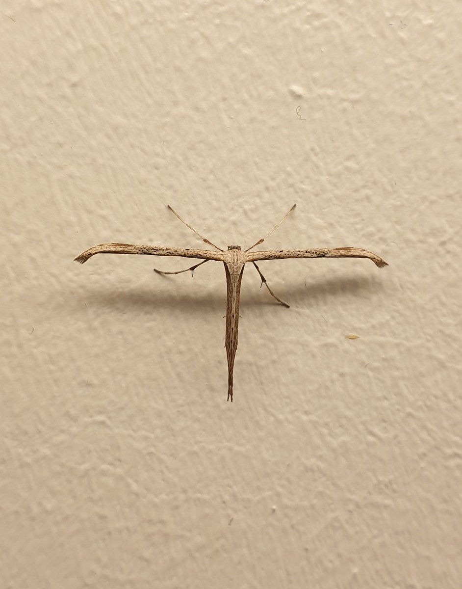 marianneorv's tweet photo. @elonmusk I found the bug! #teslabug #tesla https://t.co/mwct1rnAe0