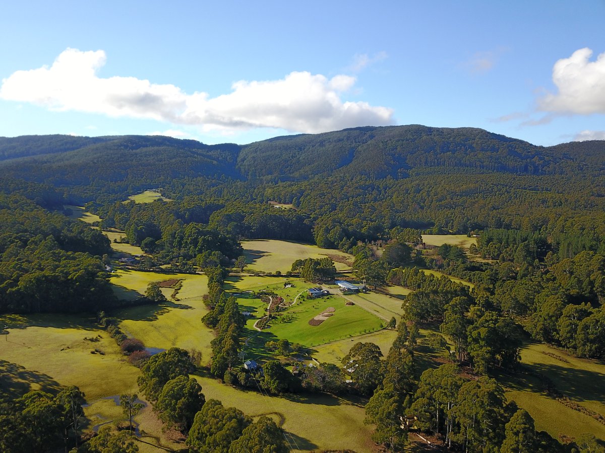 Inala is a family owned company running nature-based tours with specialist guides worldwide, from our home base, a 1500acre conservation reserve on beautiful #BrunyIsland in lutruwita/Tasmania #naturetourism
inalanaturetours.com.au
📸 Brad Moriarty - Pademelon Creative