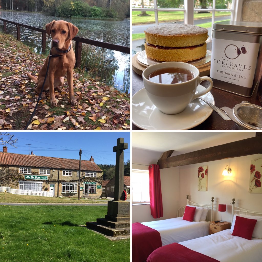 Still time to book an Autumn break away in #Huttonlehole #northyorkmoors #dogswelcome #dogholidaytoo #autumnwalks @northyorkmoors <a href="/Go_Yorkshire/">Go Yorkshire</a> <a href="/VisitRyedaleBiz/">VisitRyedaleBiz</a> <a href="/VNYorkshire/">North Yorkshire!</a> <a href="/ryedalewalking/">Ryedale Walking</a> limited availability for September and October. Call now 01751417311 🍂🍂🍁