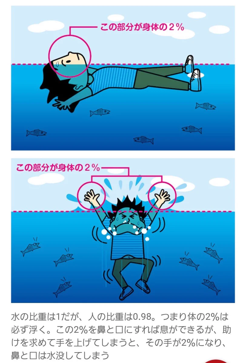 「息しながら浮く」を義務教育にすべき？どんな場合も理屈を知るのは重要！