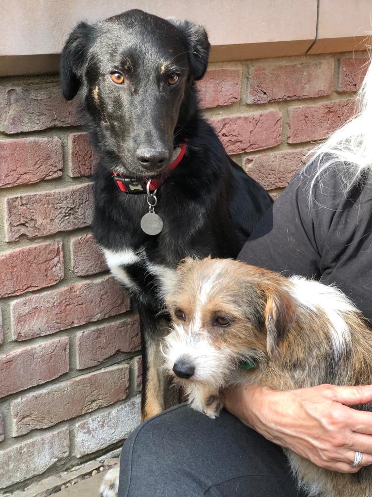 Noah is being super brave and met Maya today 😍