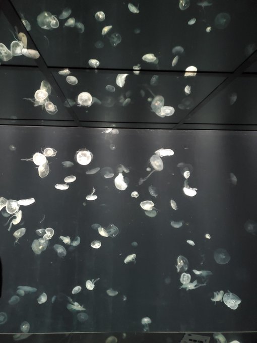 神秘的のtwitterイラスト検索結果 古い順