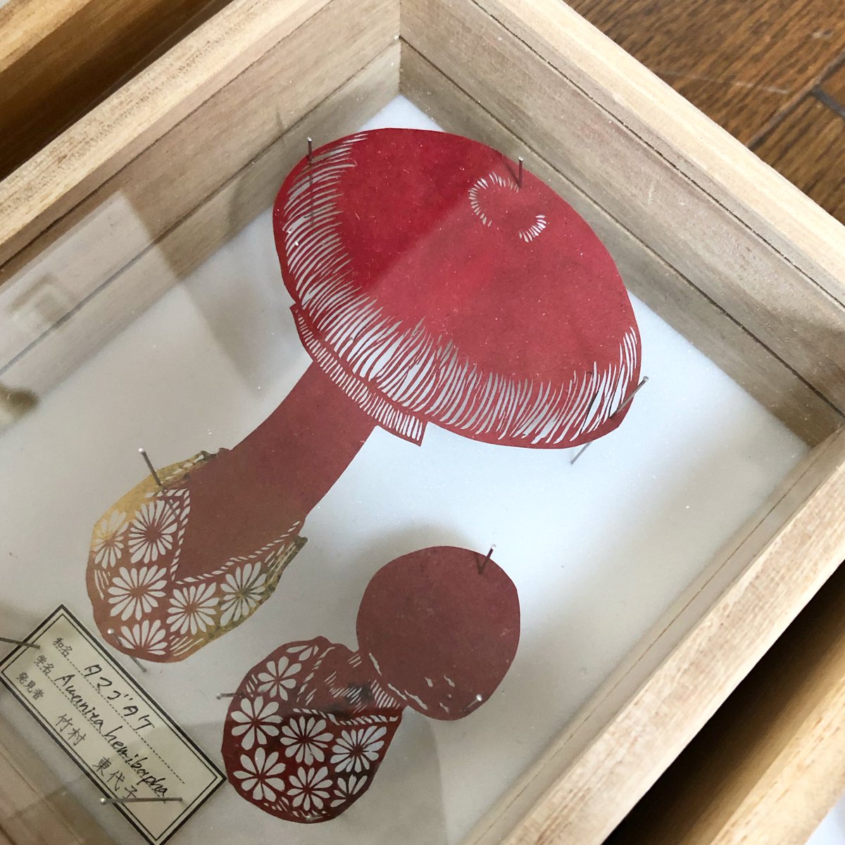 竹村 東代子 Toyokotake 6y 3y 3y タマゴタケ Amanita Caesareus 切り絵 Papercutting Papercut Papercuttingart Papercutartist Papercutter タマゴタケ きのこ きのこ好き きのこ好きな人と繋がりたい キノコ キノコ大好き Fungi Fungus