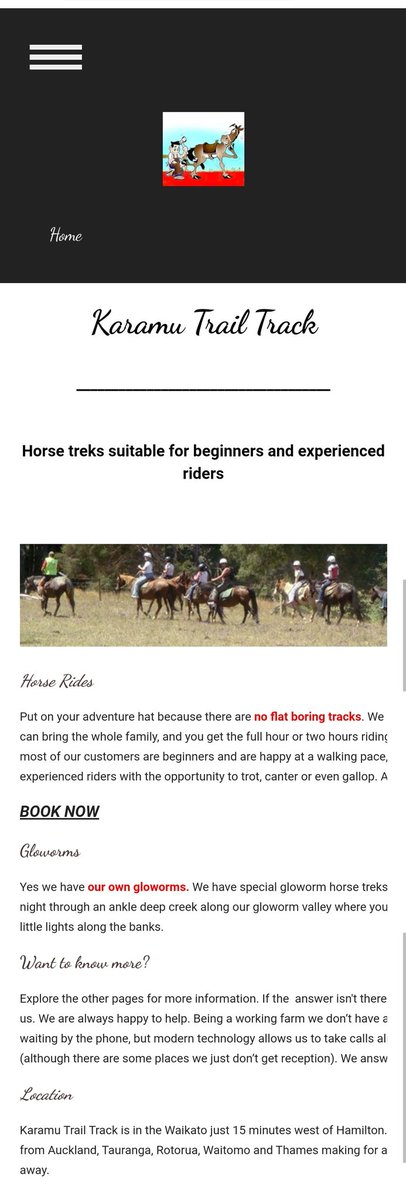For animal/adventure fans, there is Karamu Trail Track. Approximately 20k from Hamilton in Waipa is a horse riding trail that caters for kids, beginners, advanced riders & everyone inbetween.They even have glow-worms rides! Affordable day out with some horses - can book online!
