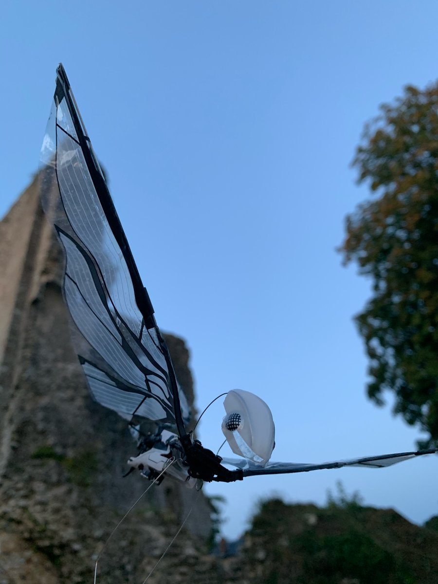 XavDrone tweet media