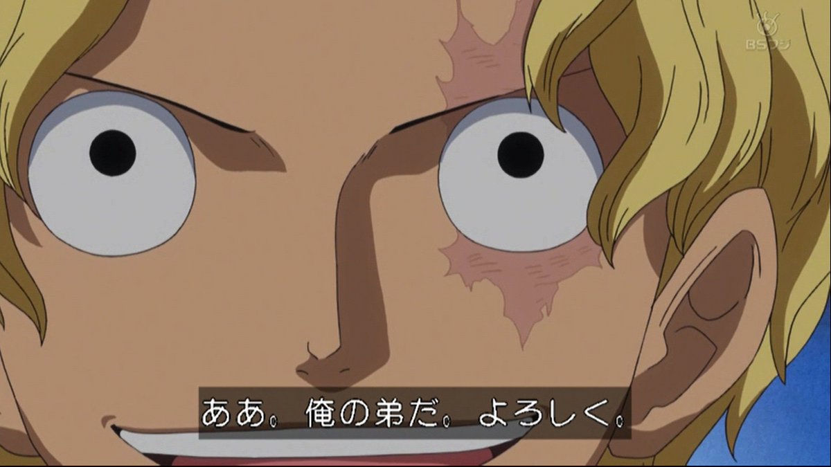 嘲笑のひよこ すすき サボ 俺の弟だ よろしく Onepiece ワンピース アニワン ドレスローザ編