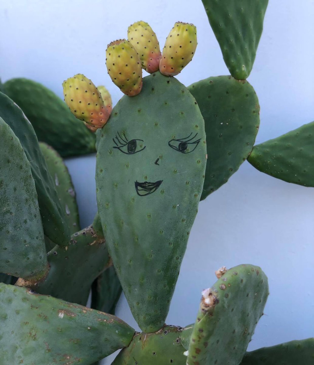 Micol Loppo Futtitinni La Filosofia Di Vita Siciliana Vuole Dire Fregatene Lascia Perdere Ricordati Che Aggrapparti A Cose O Persone Che Ti Fanno Stare Male Non Fa Altro Che Aumentare