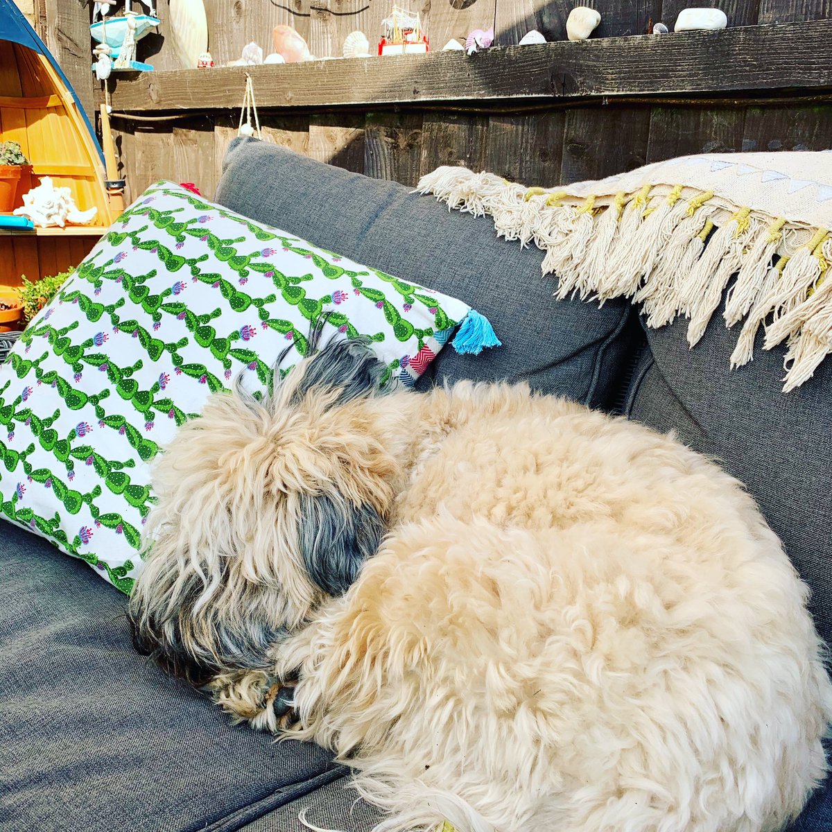 Sunday morning vibes #athome  #relax #September