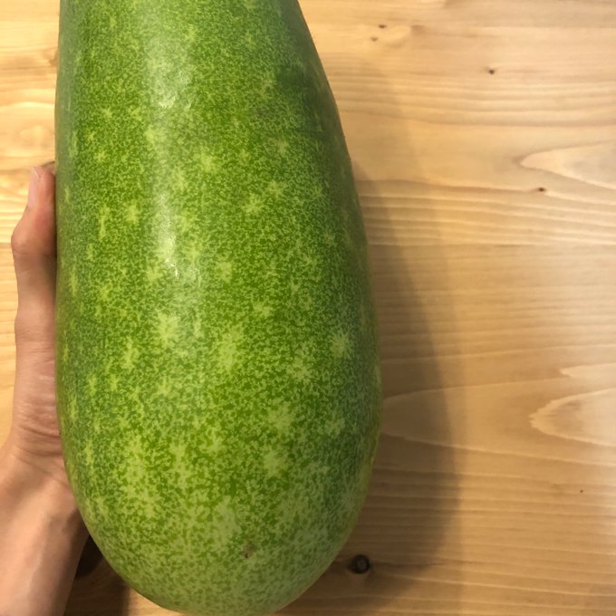 冬瓜のtwitterイラスト検索結果