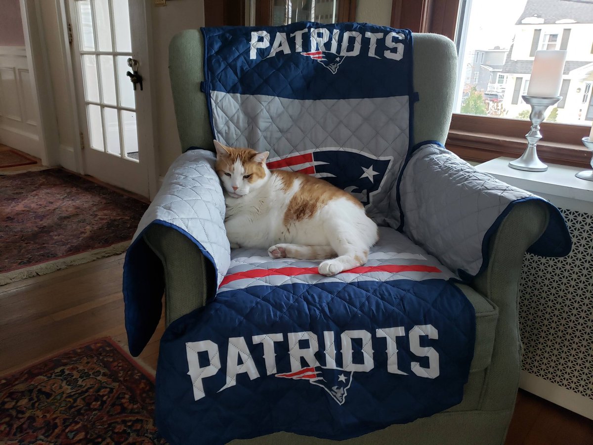 BigLouis10's tweet photo. LFG PATRIOTS!   @Patriots @CameronNewton https://t.co/NMqDUkRWfb