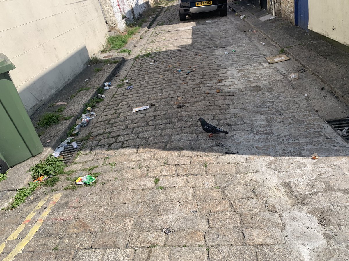 ashtongraham1's tweet photo. @plymouthcc https://t.co/C6VoNb00Pc