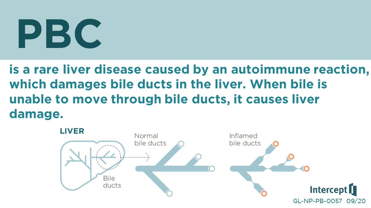AutoimmuneWalk's tweet image. Today is International Primary Biliary Cholangitis (PBC) Day.  Learn more:  pbcfoundation.org.uk/news/latest-ne… 
interceptpharma.com/our-focus/pbc/